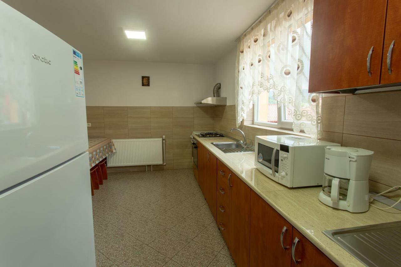 Pensiunea Casa Alexandra Vatra Dornei Exterior photo